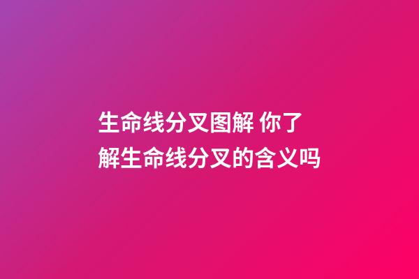 生命线分叉图解 你了解生命线分叉的含义吗